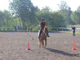img_0217_web